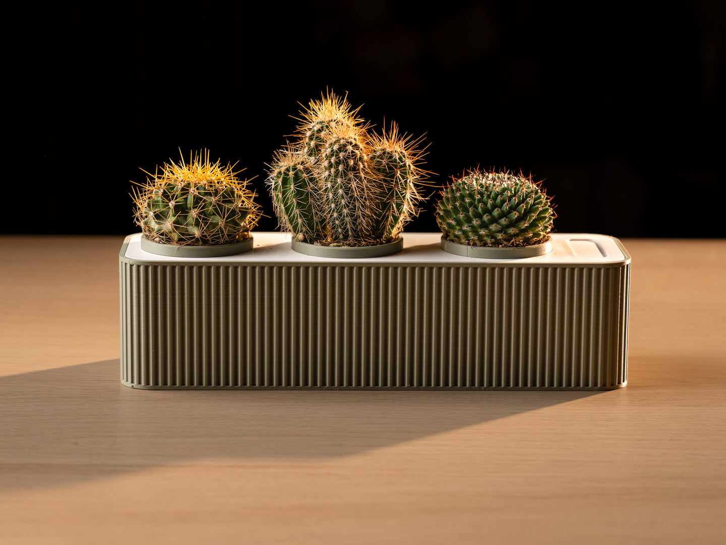 RIB The Parametric Self-Watering Planter