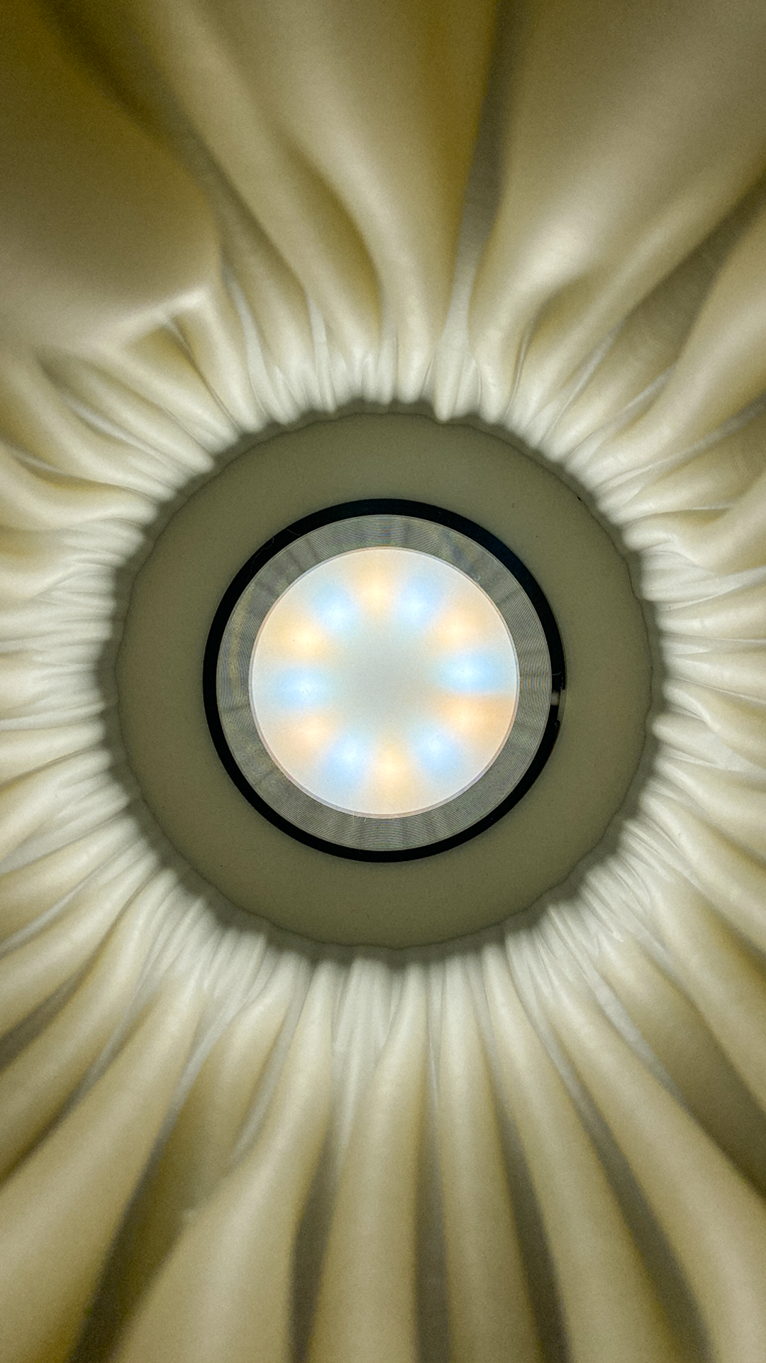 Zoan Coral Reef Table lamp