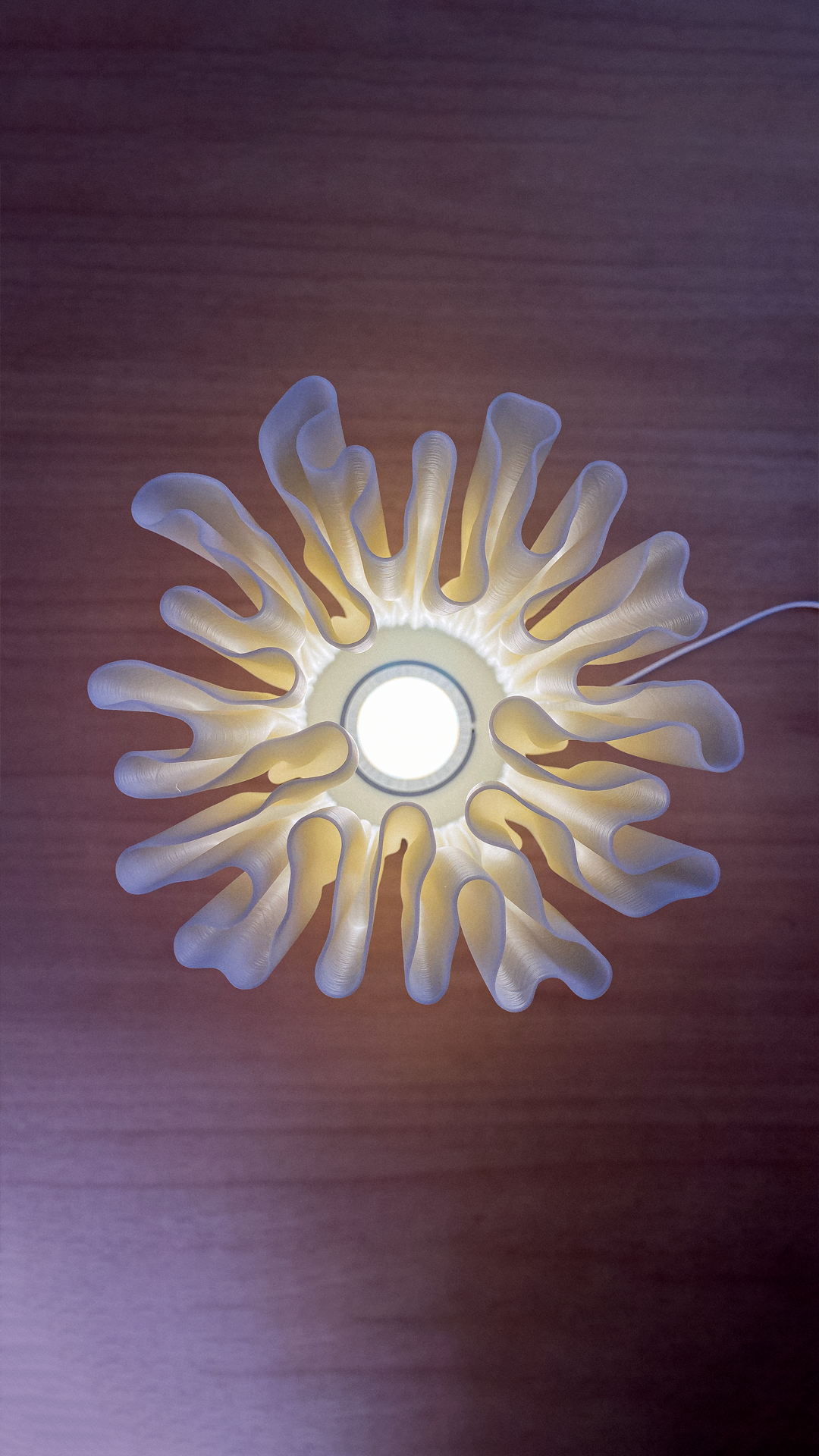 Zoan Coral Reef Table lamp