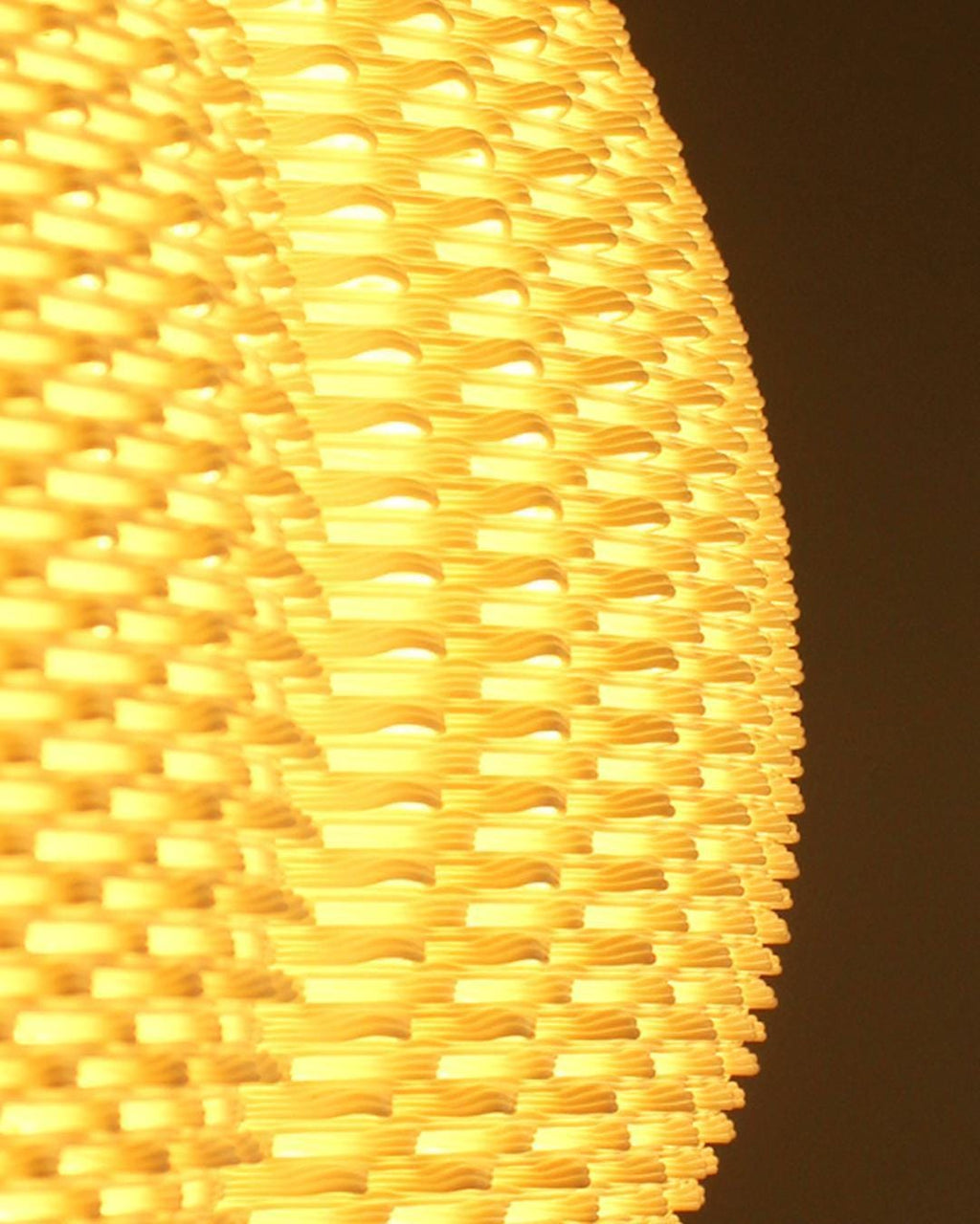 Urchin Pendant Lampshade